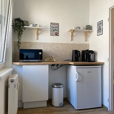 Apartmán Golden Leaf Sladkovskeho Olomouc