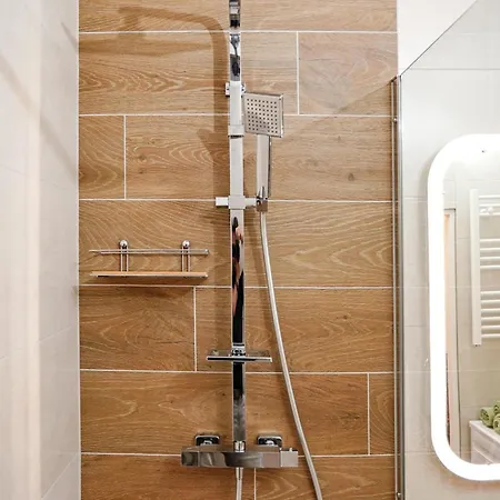 Apartment Golden Leaf Sladkovskeho Olmütz